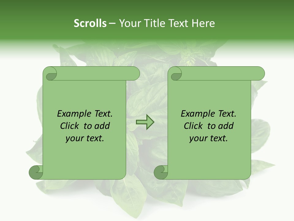 Ingredient Isolated Herb PowerPoint Template