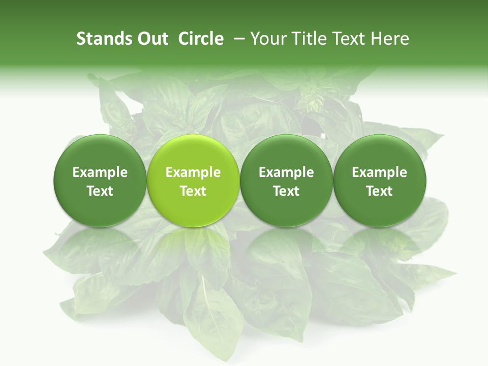 Ingredient Isolated Herb PowerPoint Template
