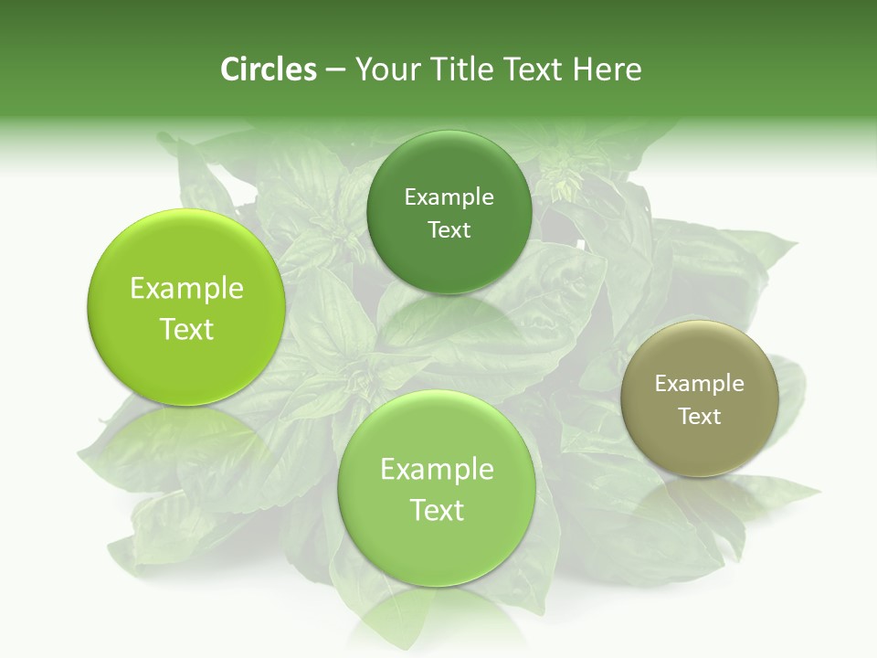 Ingredient Isolated Herb PowerPoint Template