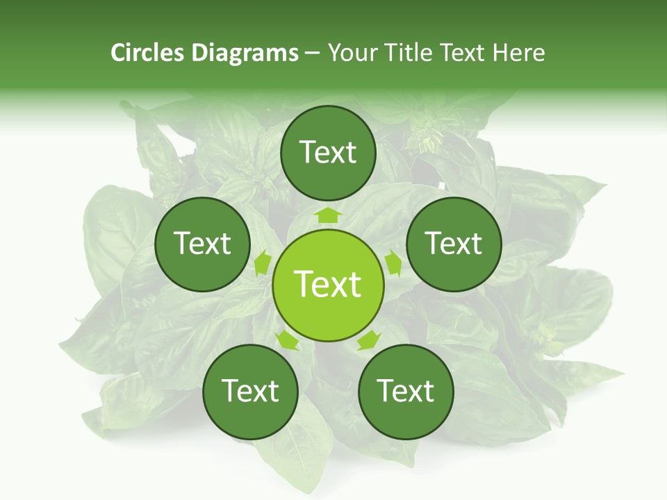 Ingredient Isolated Herb PowerPoint Template