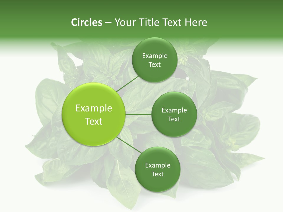 Ingredient Isolated Herb PowerPoint Template