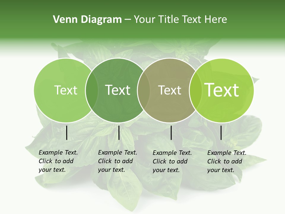 Ingredient Isolated Herb PowerPoint Template
