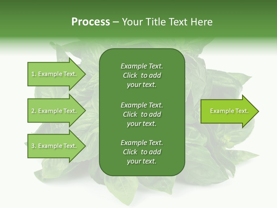 Ingredient Isolated Herb PowerPoint Template
