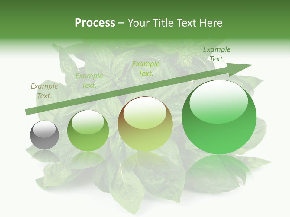 Ingredient Isolated Herb PowerPoint Template