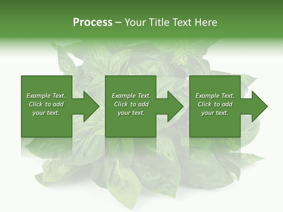 Ingredient Isolated Herb PowerPoint Template