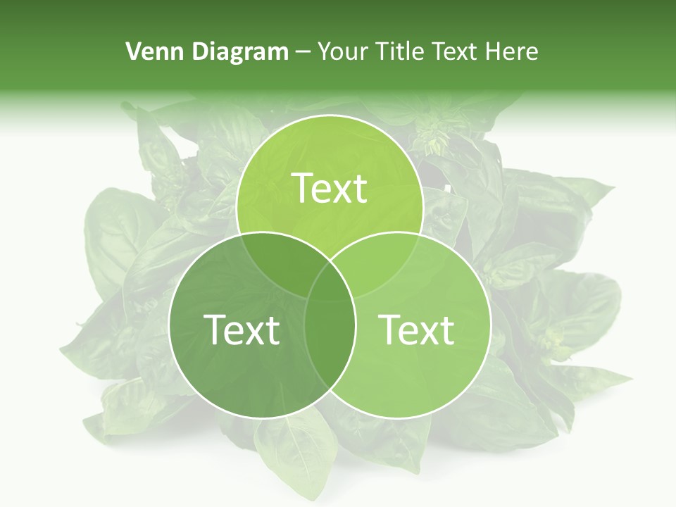 Ingredient Isolated Herb PowerPoint Template