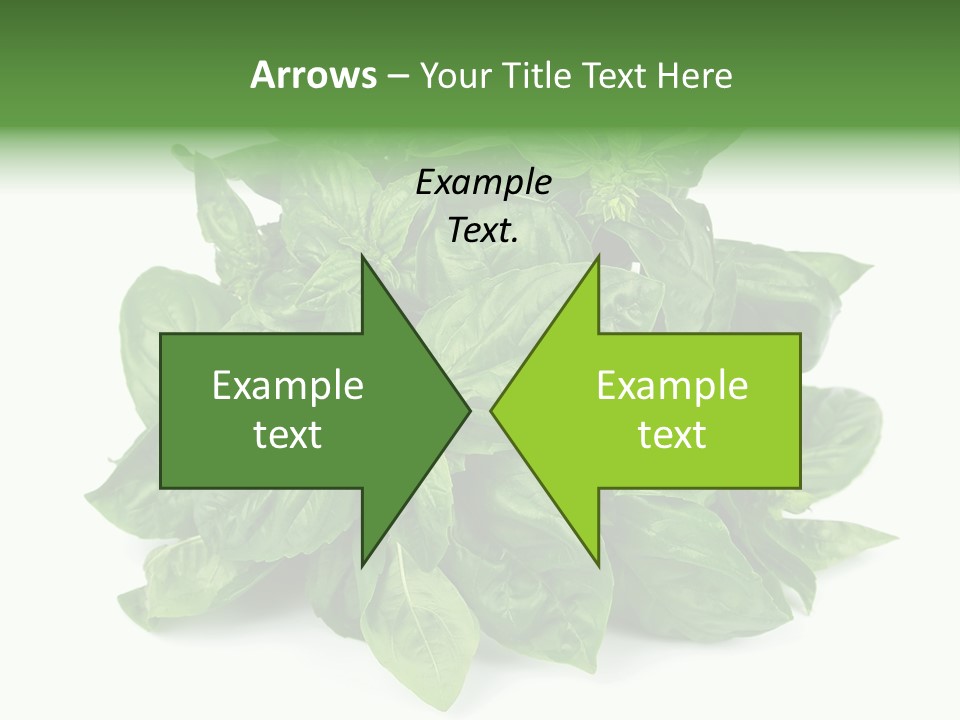 Ingredient Isolated Herb PowerPoint Template