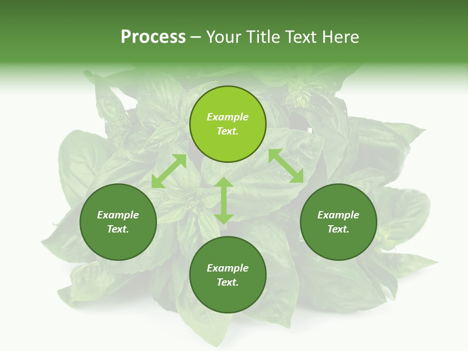 Ingredient Isolated Herb PowerPoint Template