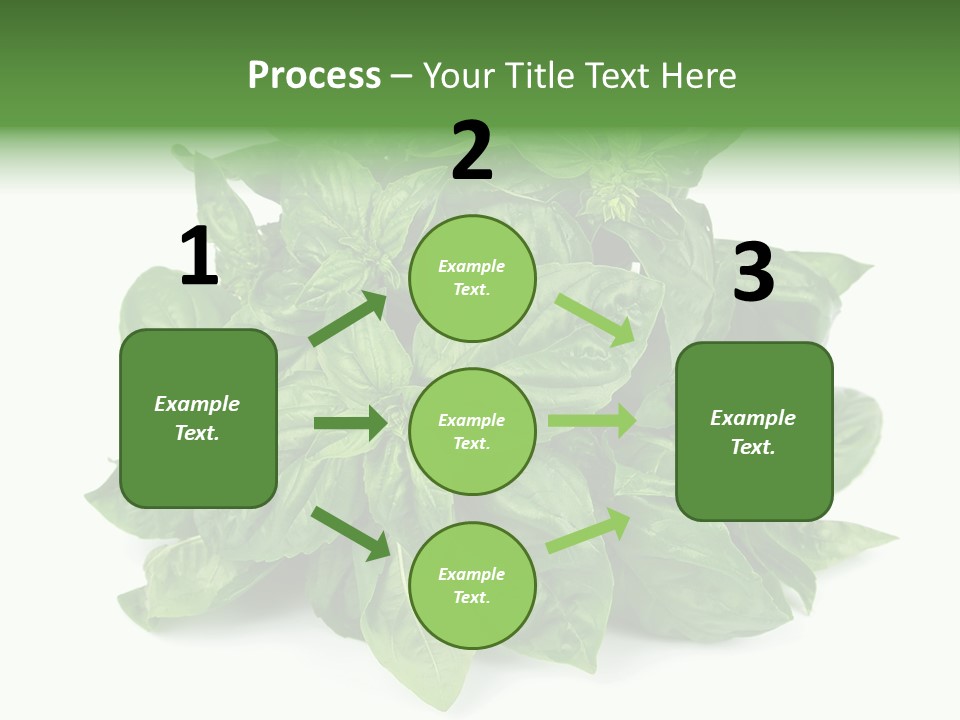 Ingredient Isolated Herb PowerPoint Template