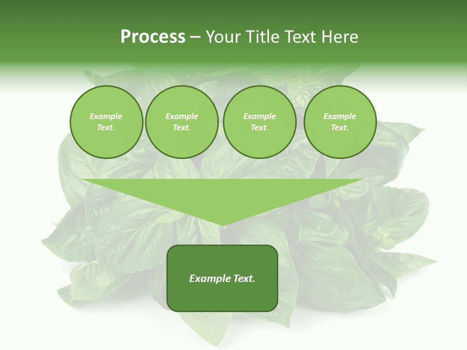Ingredient Isolated Herb PowerPoint Template