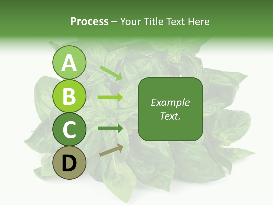 Ingredient Isolated Herb PowerPoint Template