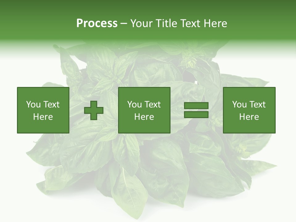 Ingredient Isolated Herb PowerPoint Template