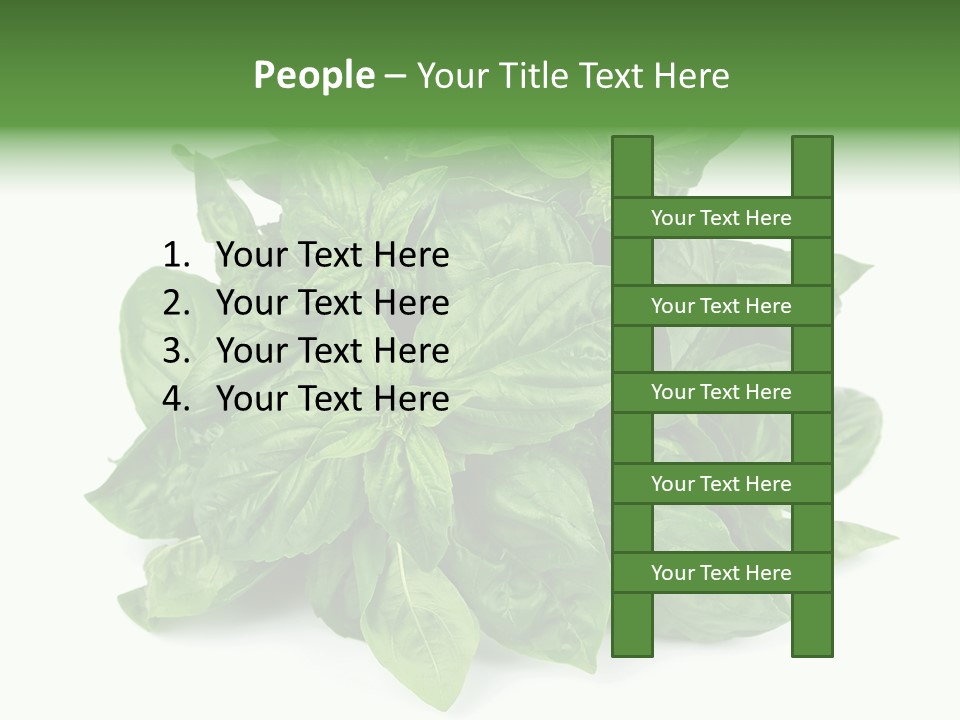 Ingredient Isolated Herb PowerPoint Template