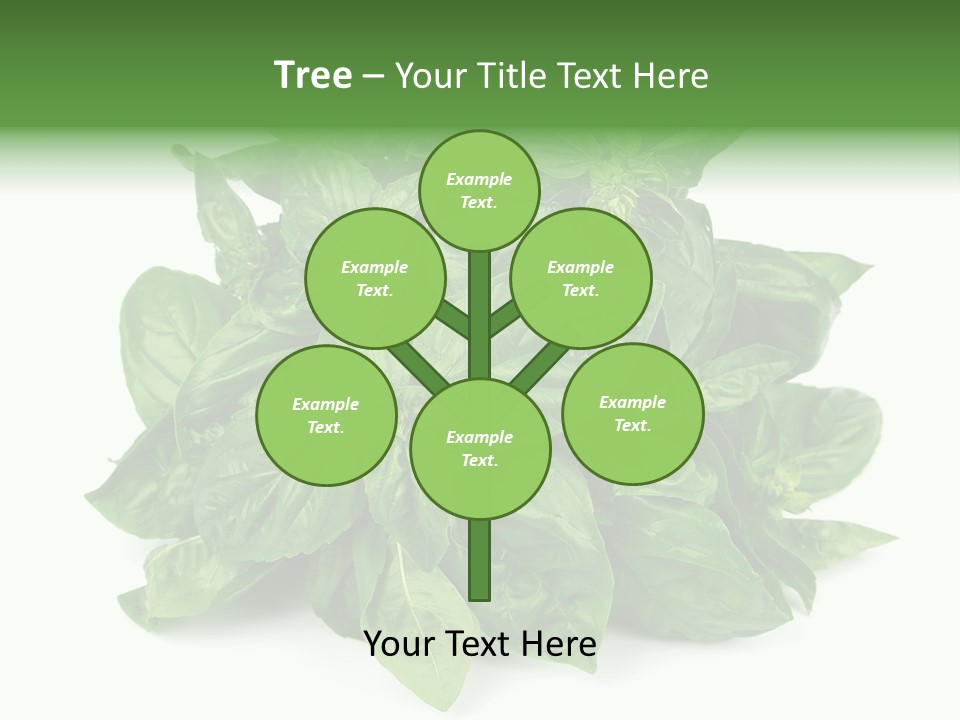 Ingredient Isolated Herb PowerPoint Template