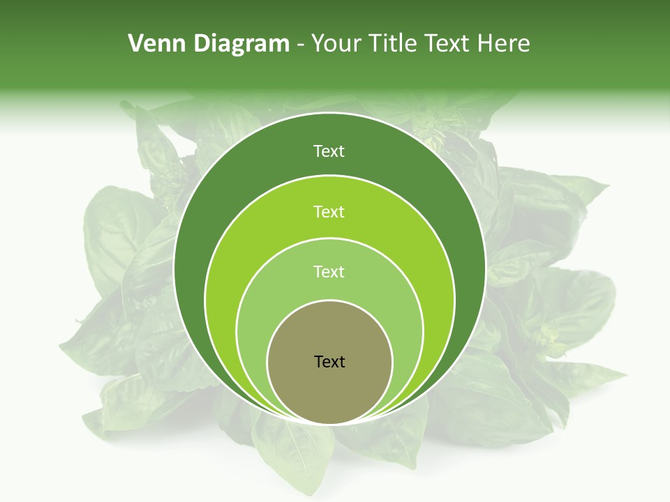 Ingredient Isolated Herb PowerPoint Template