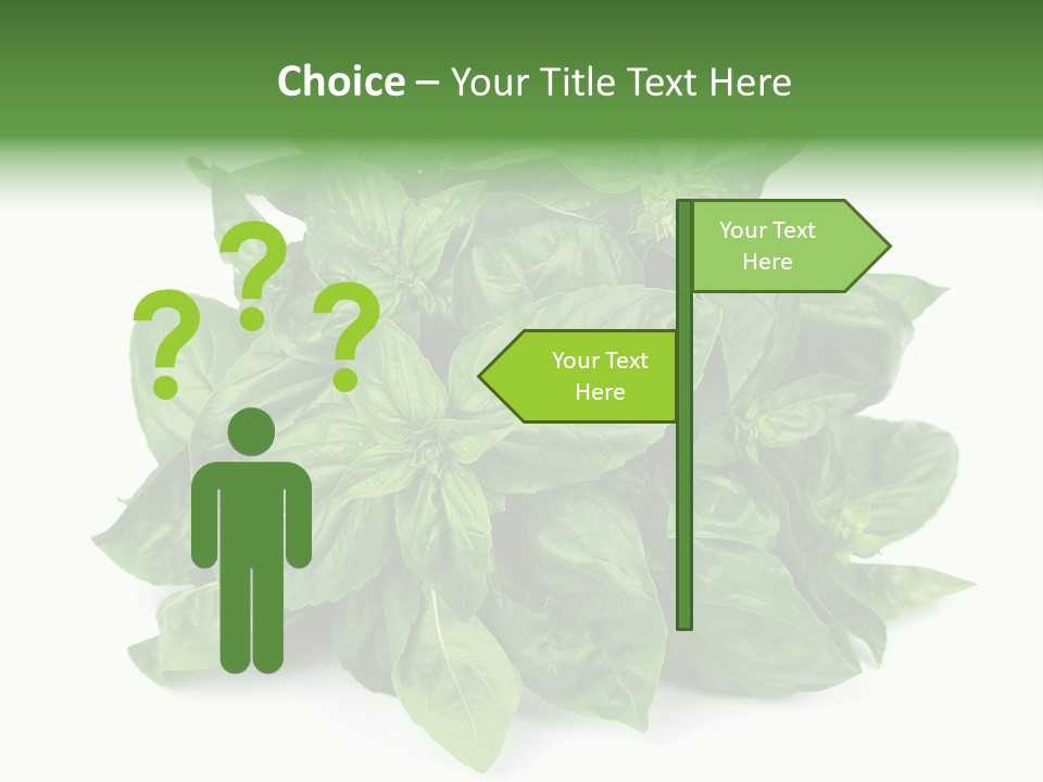 Ingredient Isolated Herb PowerPoint Template