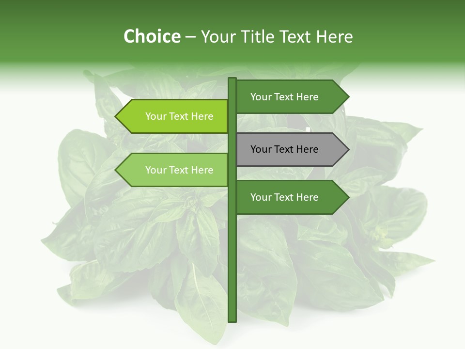 Ingredient Isolated Herb PowerPoint Template