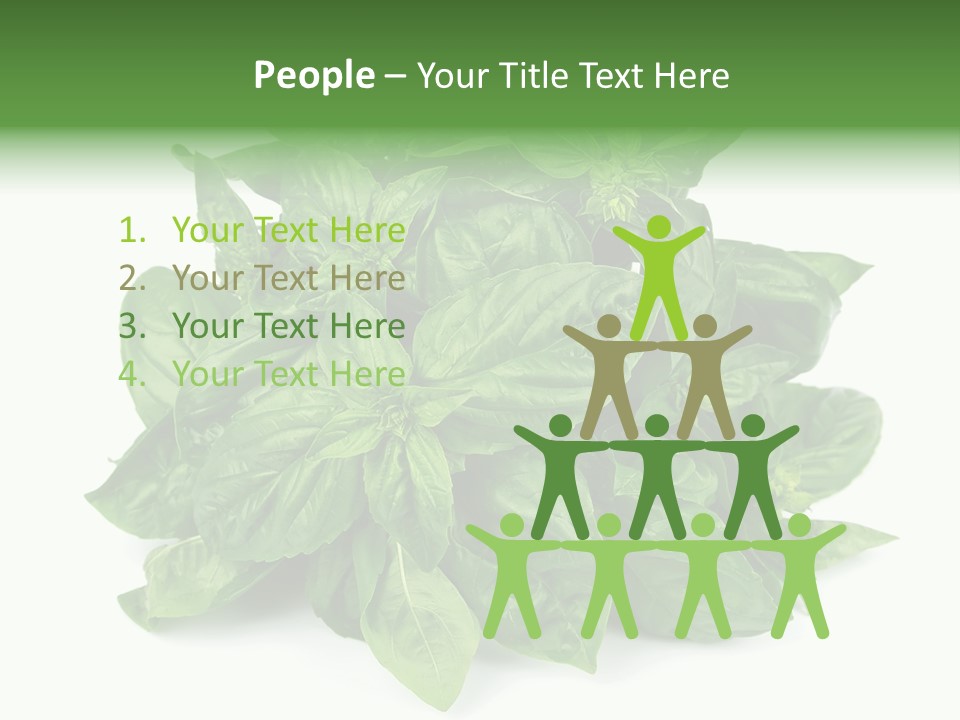 Ingredient Isolated Herb PowerPoint Template