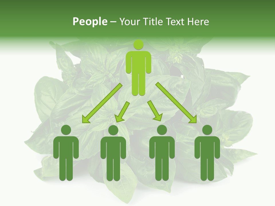 Ingredient Isolated Herb PowerPoint Template