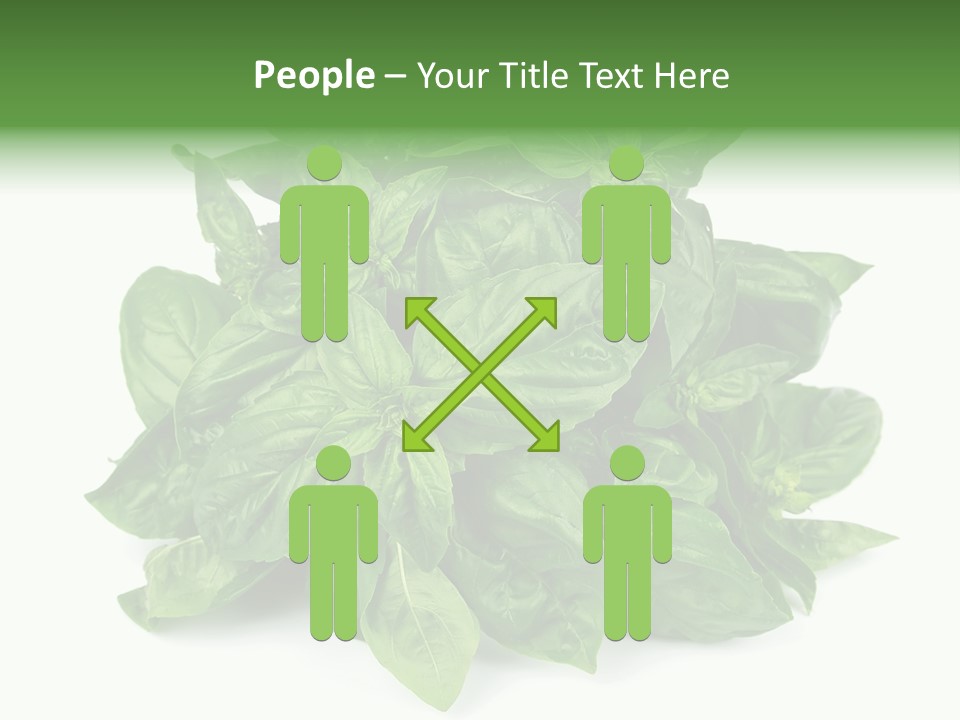 Ingredient Isolated Herb PowerPoint Template