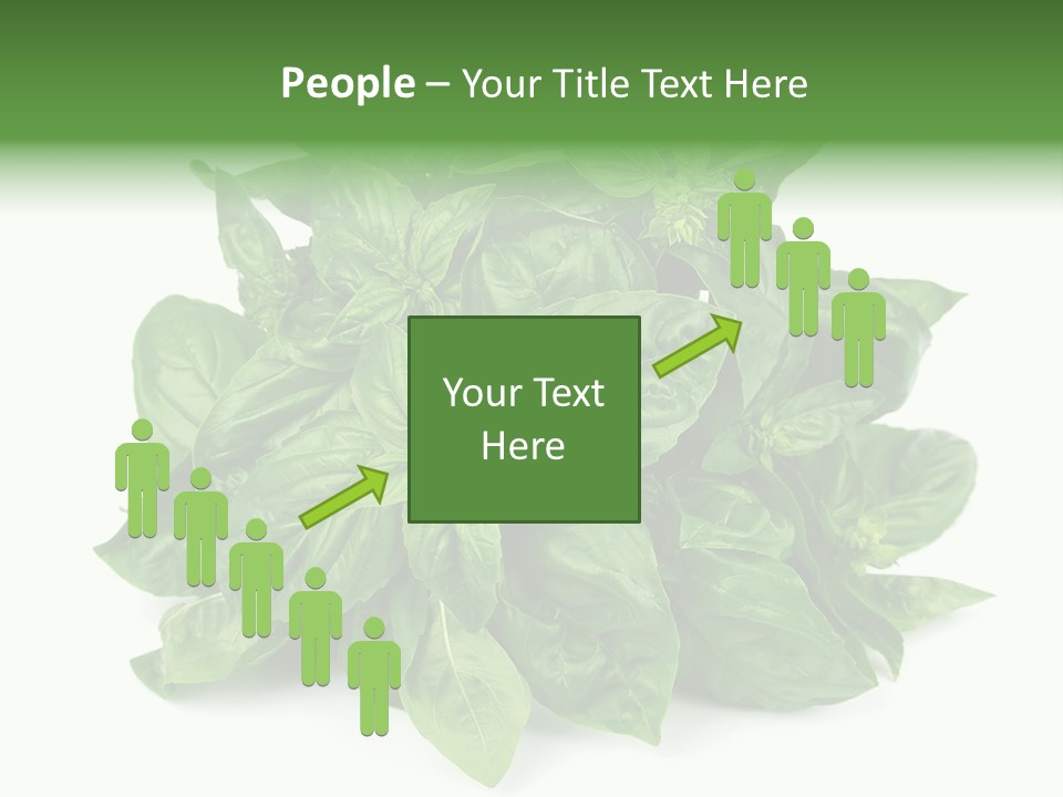 Ingredient Isolated Herb PowerPoint Template