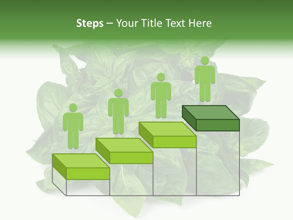 Ingredient Isolated Herb PowerPoint Template