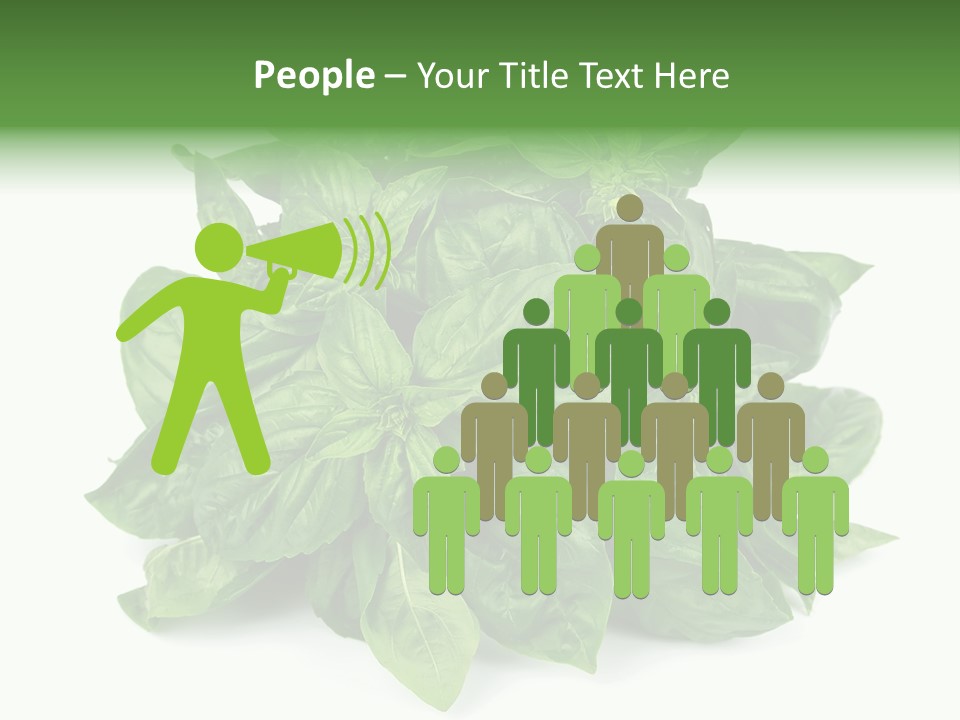 Ingredient Isolated Herb PowerPoint Template