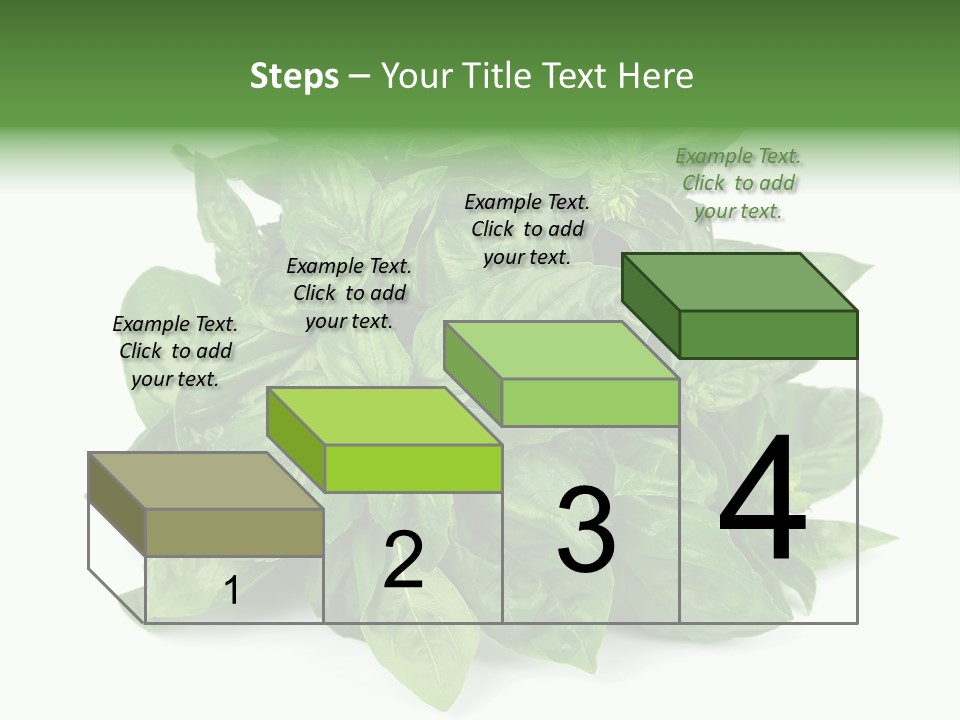 Ingredient Isolated Herb PowerPoint Template