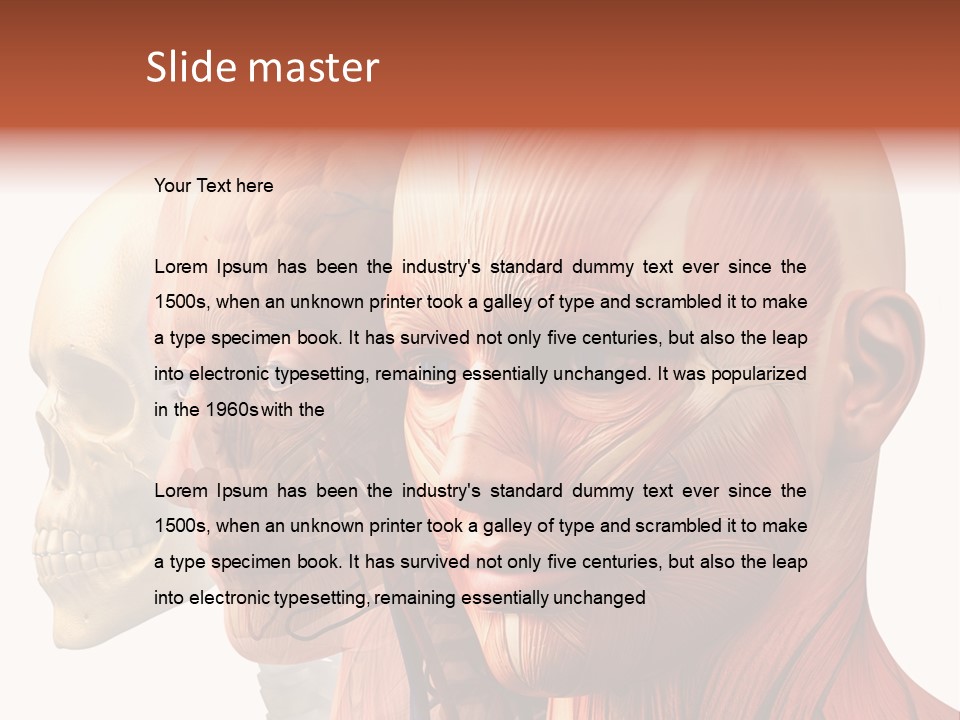 Chest Anatomically Isolated PowerPoint Template