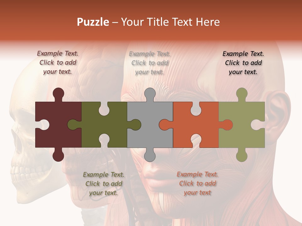 Chest Anatomically Isolated PowerPoint Template