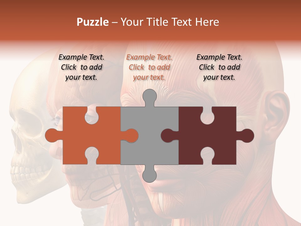 Chest Anatomically Isolated PowerPoint Template