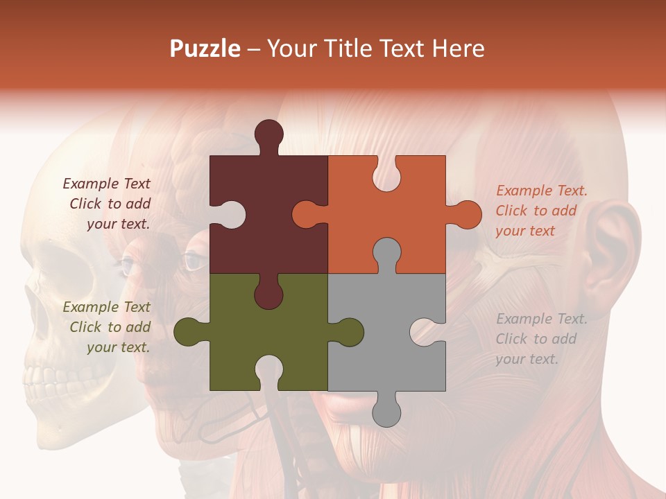 Chest Anatomically Isolated PowerPoint Template