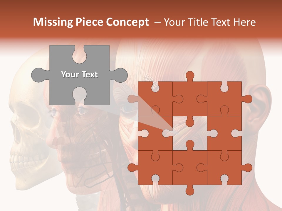 Chest Anatomically Isolated PowerPoint Template