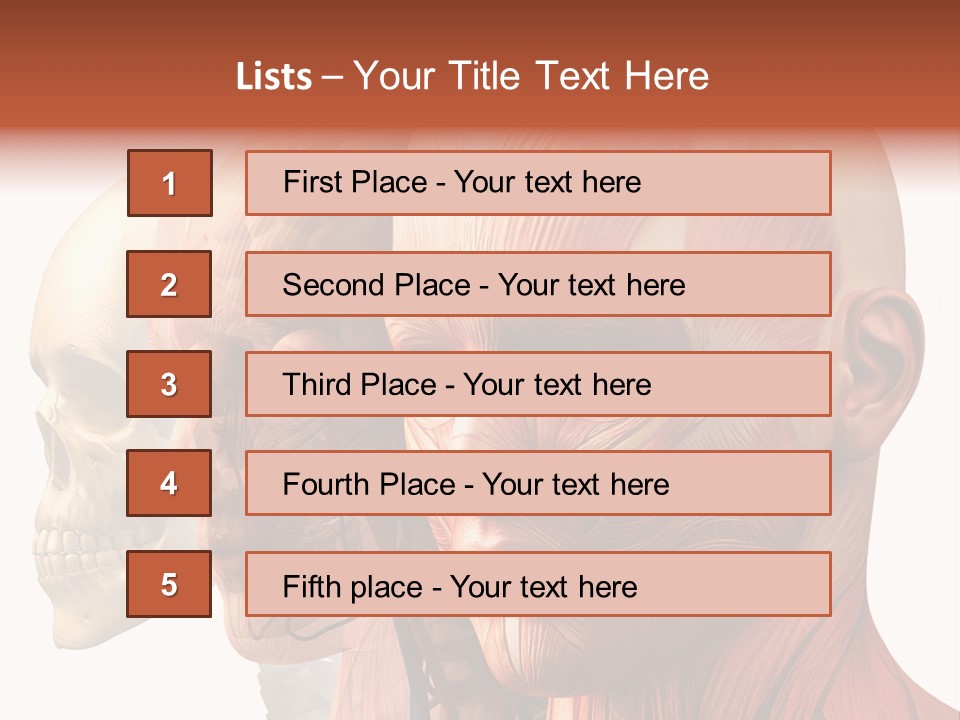 Chest Anatomically Isolated PowerPoint Template