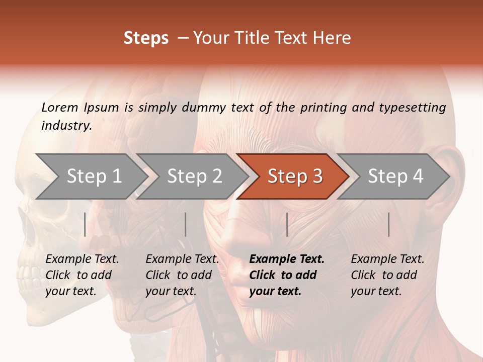 Chest Anatomically Isolated PowerPoint Template