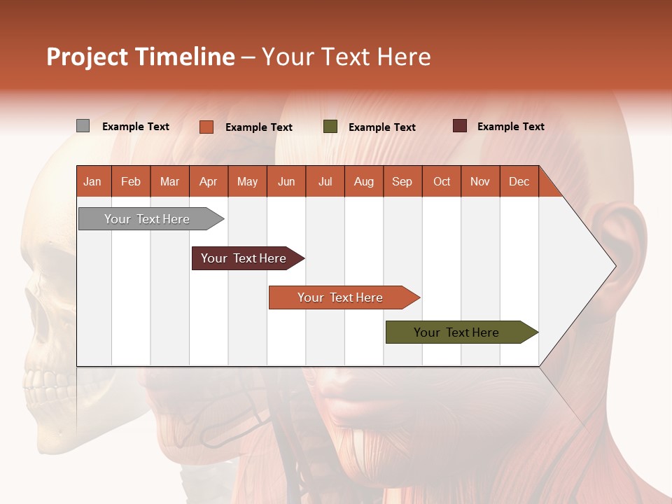 Chest Anatomically Isolated PowerPoint Template