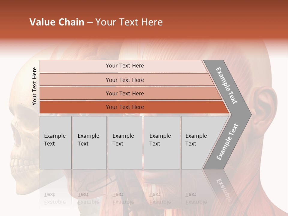 Chest Anatomically Isolated PowerPoint Template