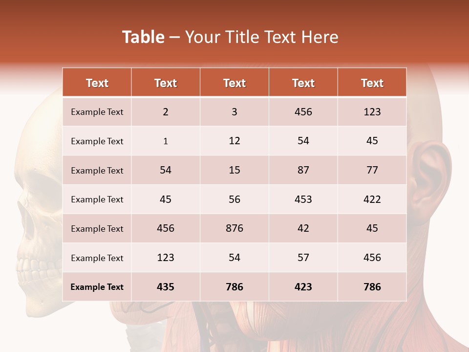 Chest Anatomically Isolated PowerPoint Template