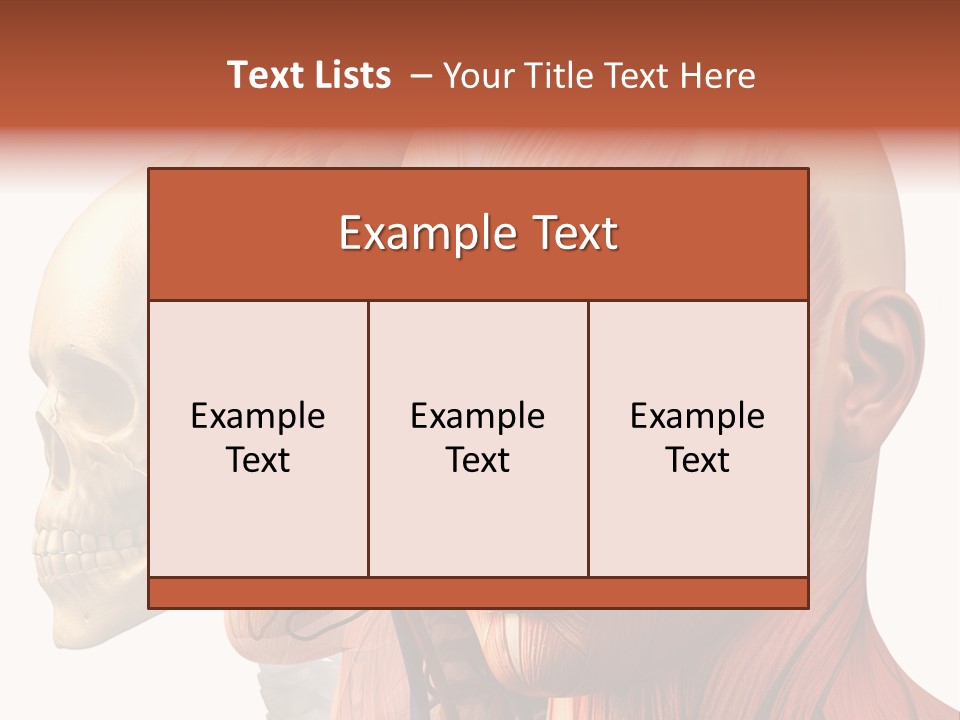 Chest Anatomically Isolated PowerPoint Template
