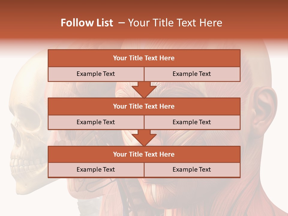 Chest Anatomically Isolated PowerPoint Template
