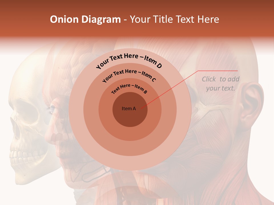 Chest Anatomically Isolated PowerPoint Template