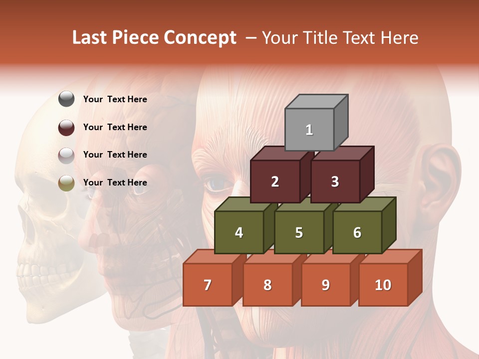 Chest Anatomically Isolated PowerPoint Template