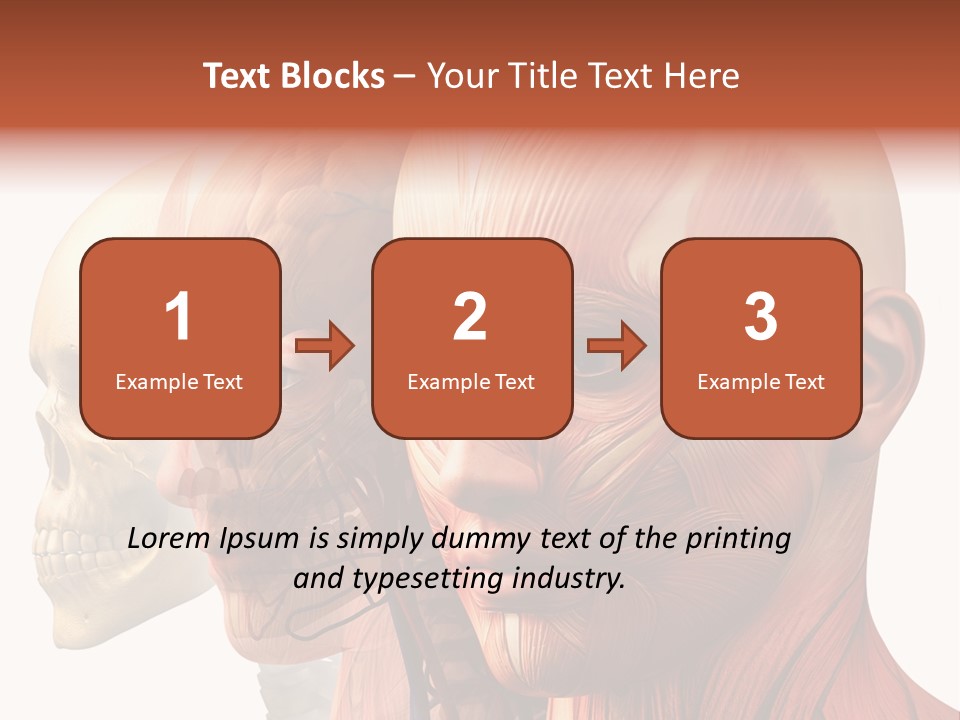Chest Anatomically Isolated PowerPoint Template
