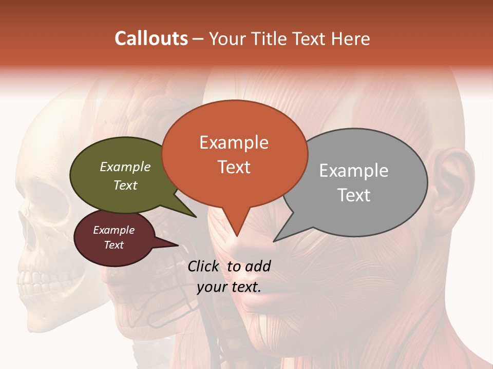Chest Anatomically Isolated PowerPoint Template