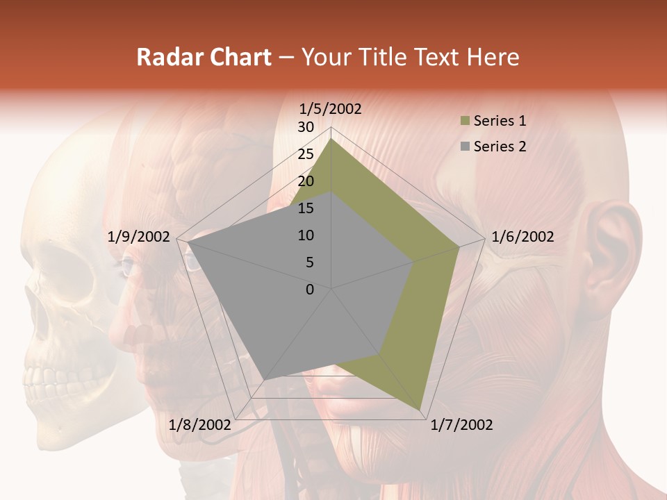 Chest Anatomically Isolated PowerPoint Template