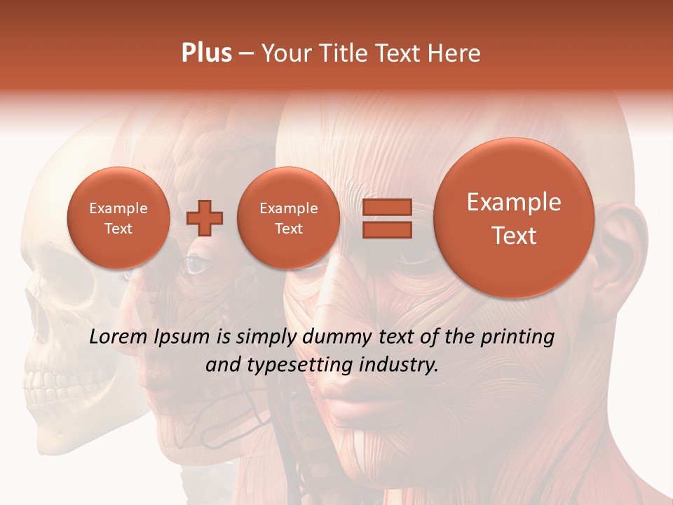 Chest Anatomically Isolated PowerPoint Template