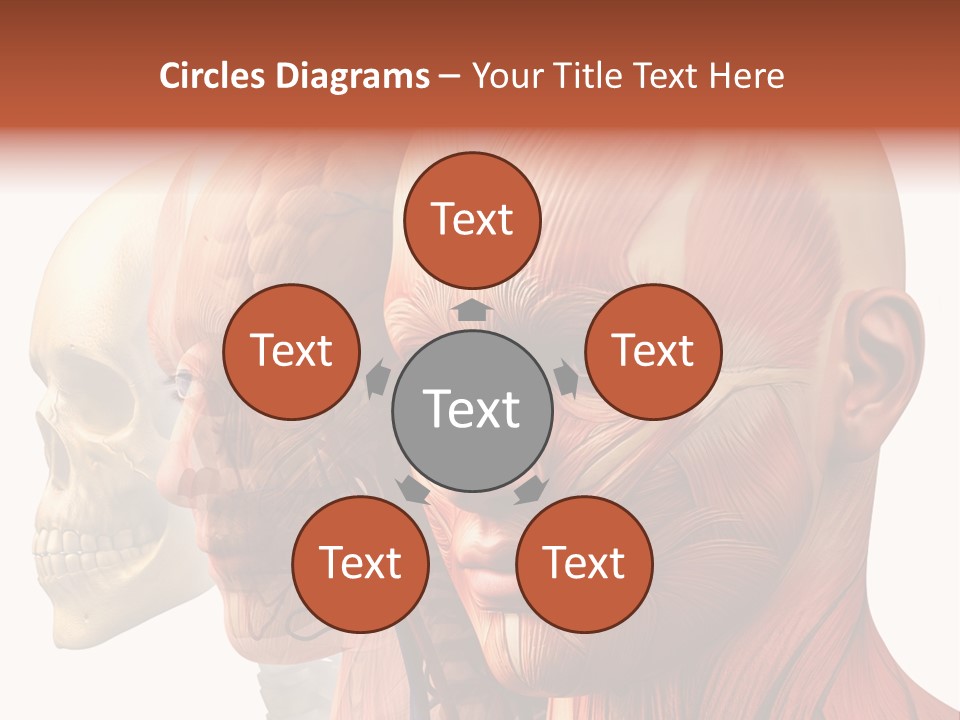 Chest Anatomically Isolated PowerPoint Template