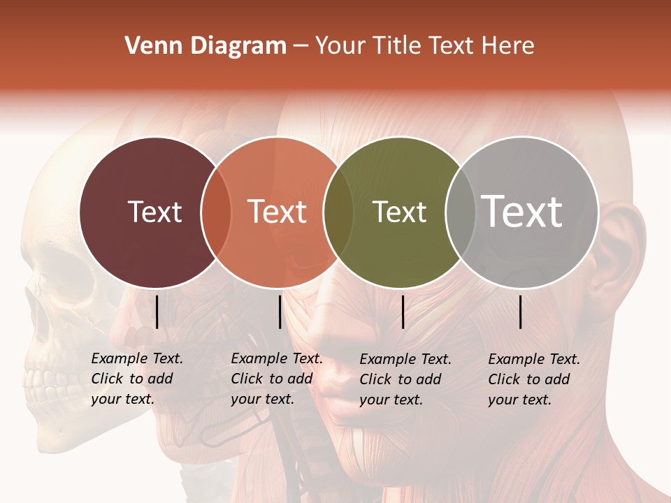 Chest Anatomically Isolated PowerPoint Template