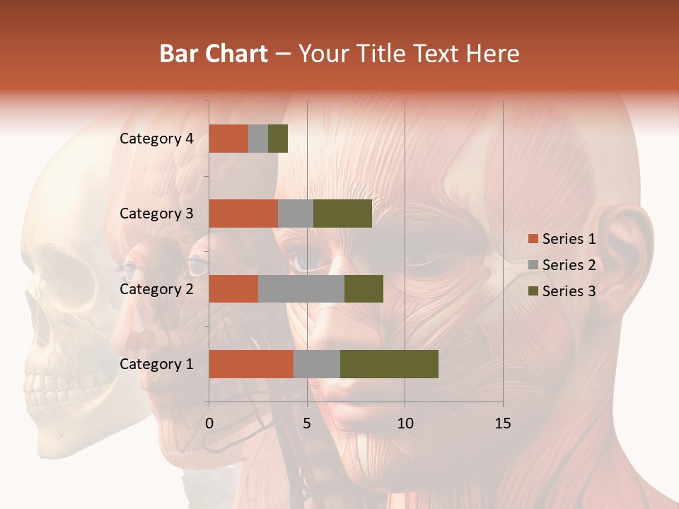 Chest Anatomically Isolated PowerPoint Template