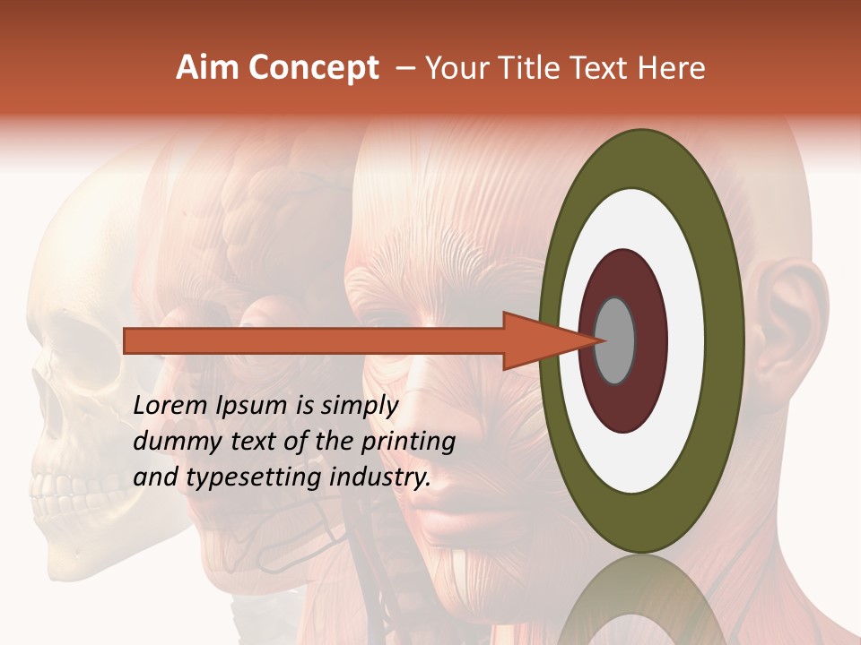 Chest Anatomically Isolated PowerPoint Template